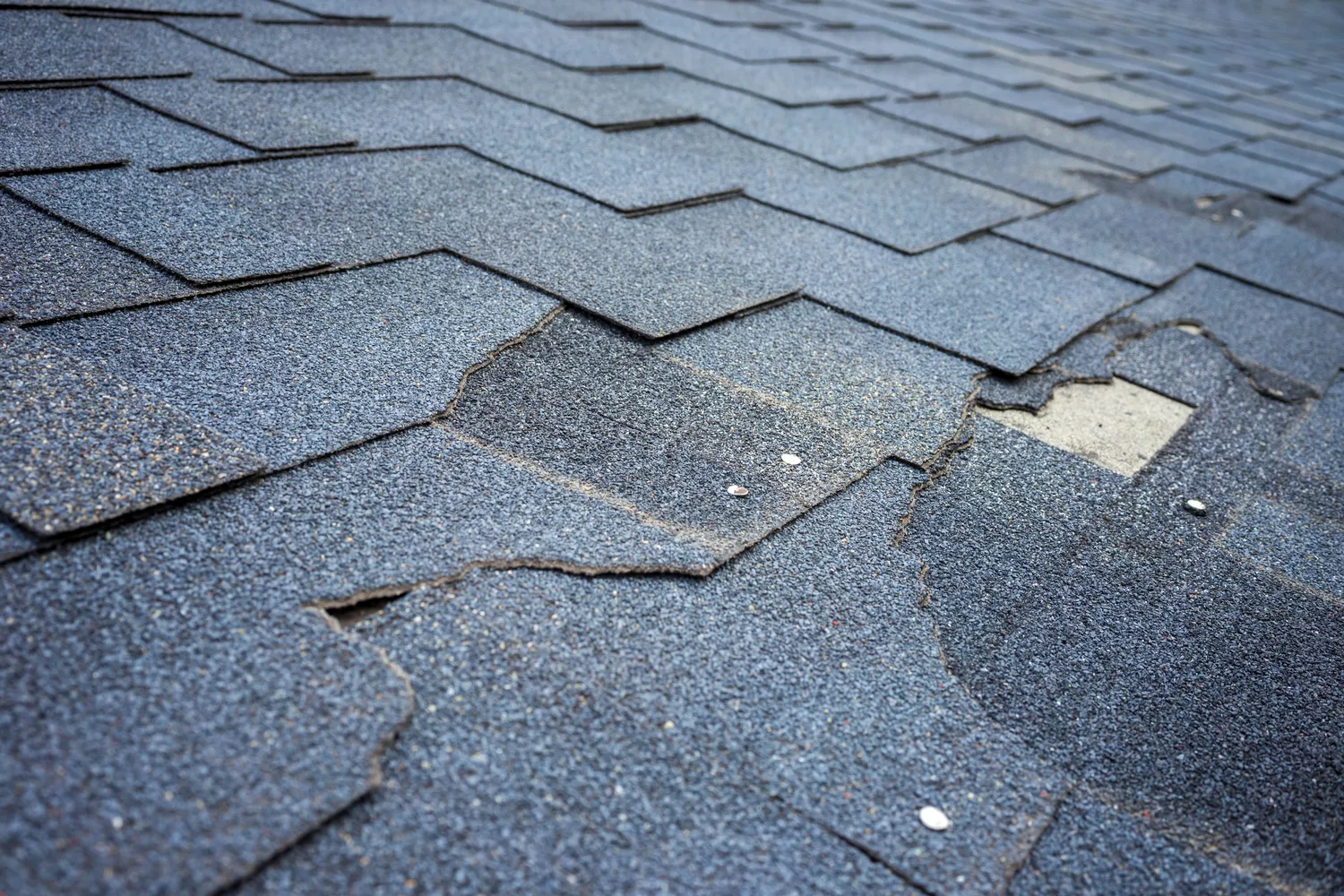 Roof Repair Near You | AllRoofs Inc